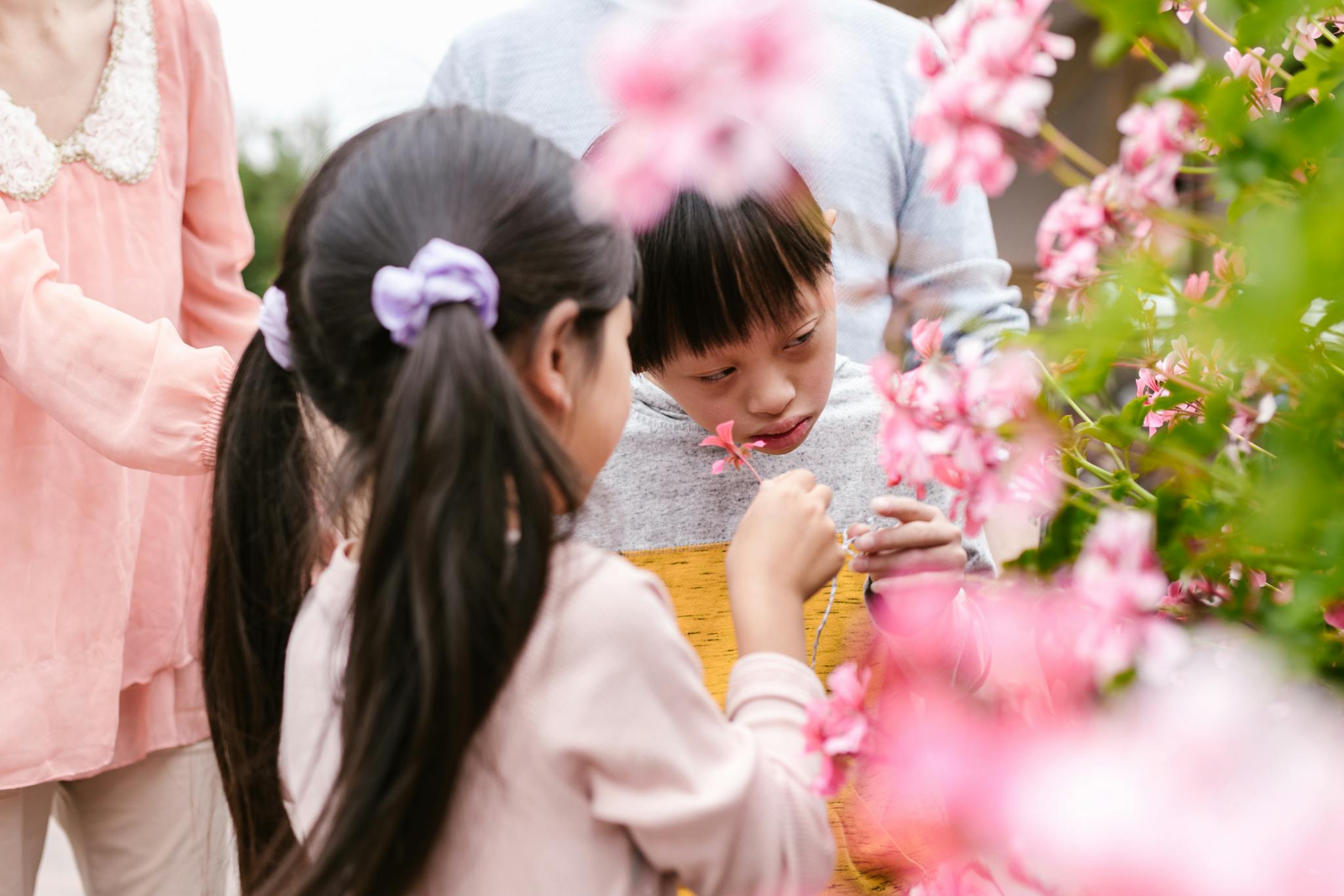 Children explore flowers in a garden, sharing joyful and playful moments outdoors.